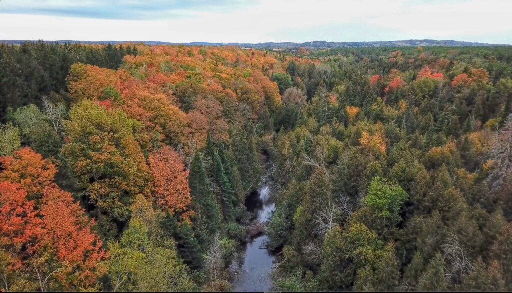 West Credit River Heritage Tour